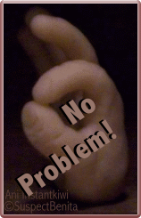 noproblem.gif